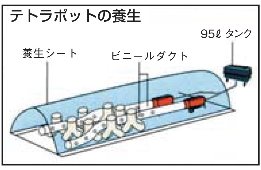 図2