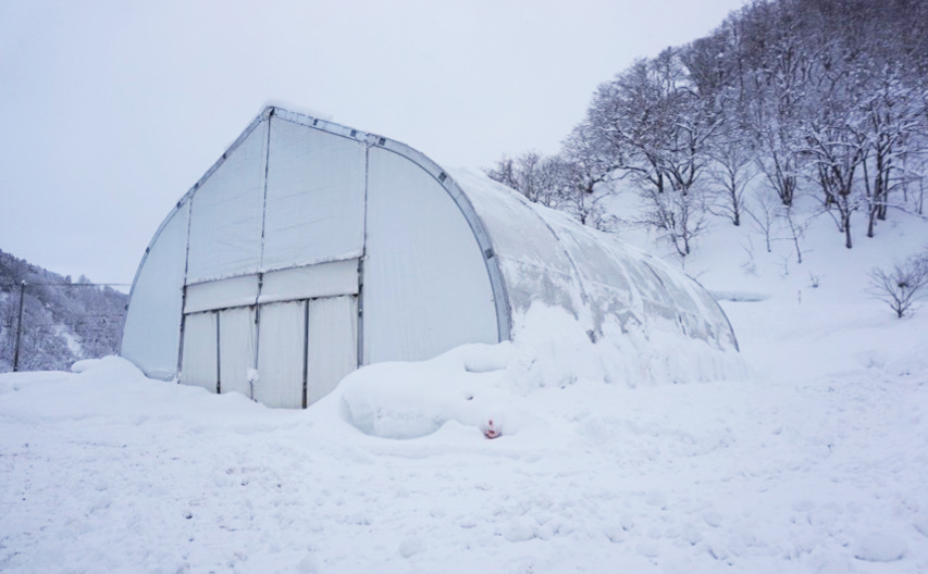豪雪地・多雪地での積雪対応テント倉庫の活用例